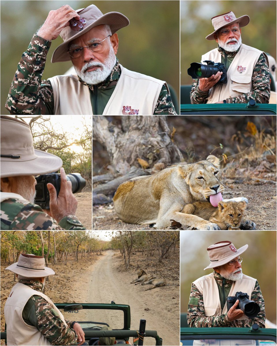 शेरों के बीच बब्बर शेर